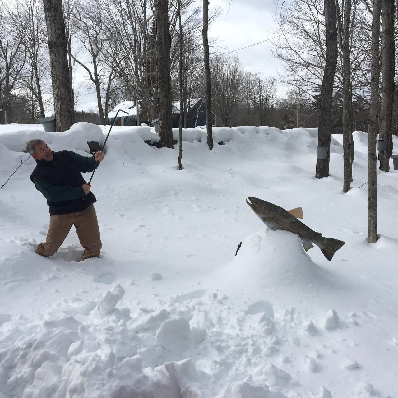 A playful winter scene with a fishing rod and a large decorative fish among snow-covered maple trees